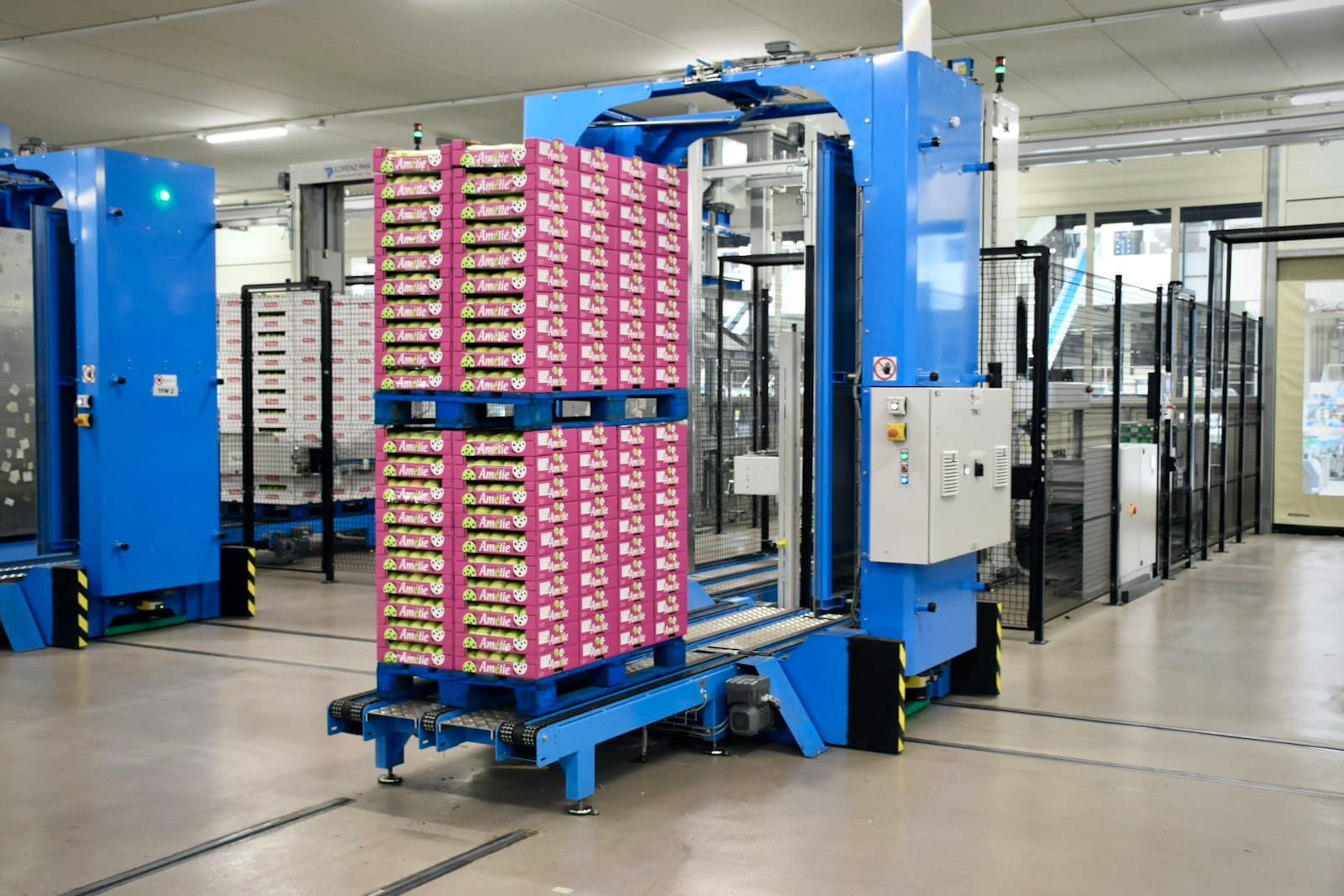 Fanuc M-410iC/185