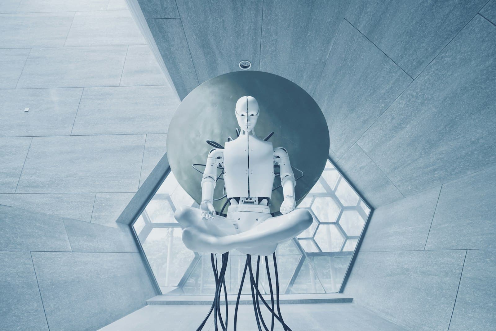 BOSTON DYNAMICS Atlas