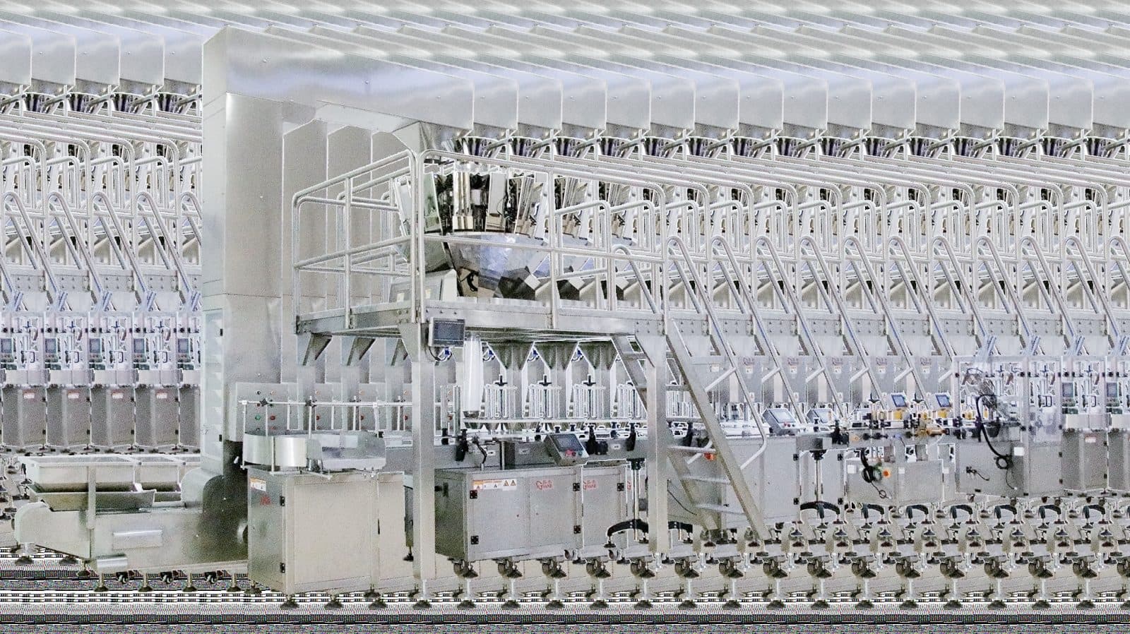 Automatic Multi-Head Combination Weigher Granule Filling Line