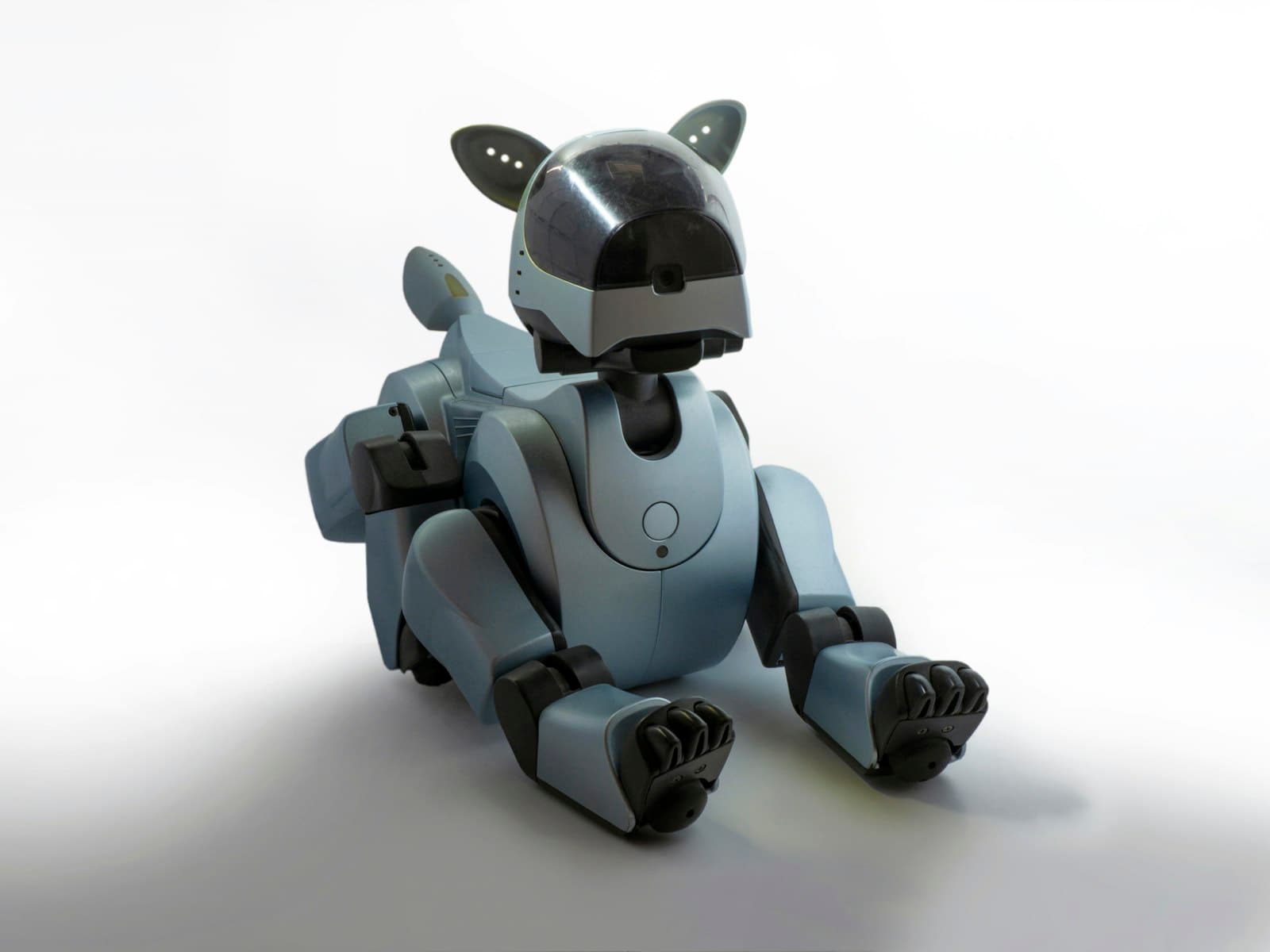 ANYbotics ANYmal C